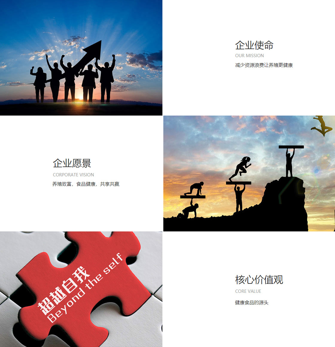 918BTT手机端在线官方网站(图1)